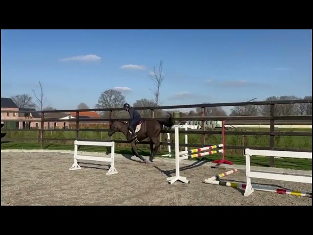 jumping under the saddle