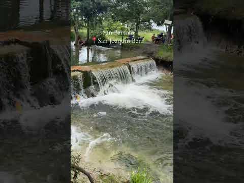 #San_bartolo 💚🇧🇴#San_joaquin#Beni#DSA#Bolivia