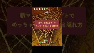 新マップ『エジプト』でやりたくなる隠れ方【めっちゃカメレオン】