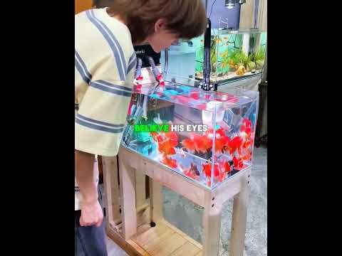 He Accidentally Cleaned the Entire Fish Tank 😱🐟