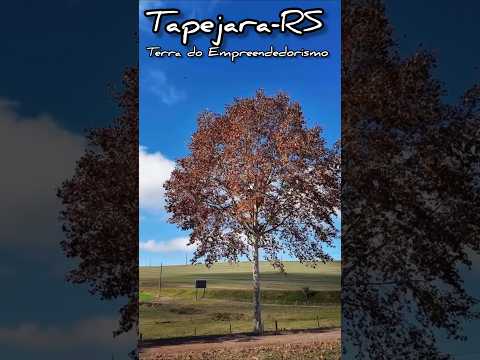 TAPEJARA-RS a Terra do Empreendedorismo #tapejara #nortegaucho #rs428 #terradoempreendorismo #shorts