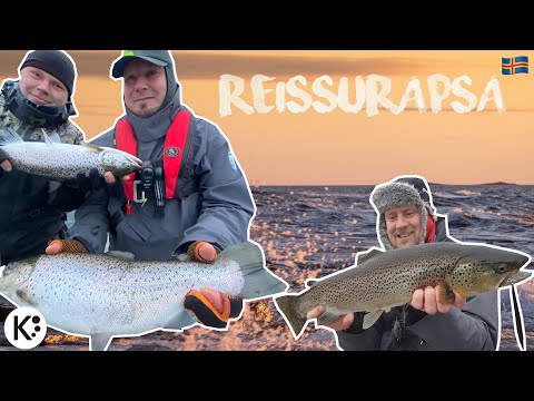 Tammikuussa taimenta heittämällä (14 kpl) 📍🇦🇽