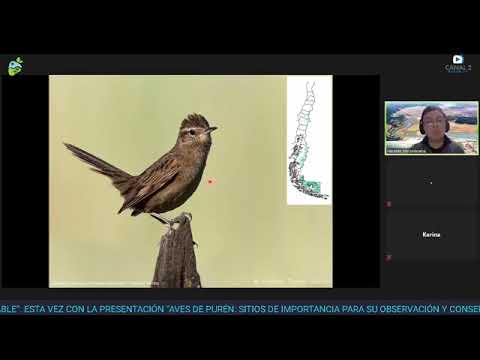 , title : 'Aves de Purén: sitios de importancia para su observación y conservación'