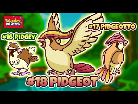 Pidgey, Pidgeotto & Pidgeot – From Tiny Bird to Sky Lord! | Animated Pokédex #012