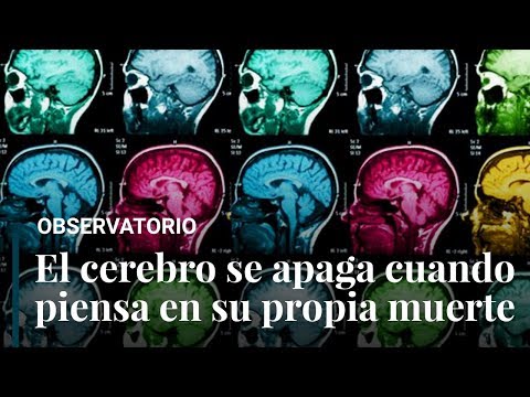 Las Predicciones Del Cerebro Cuando Se Piensa En La Muerte