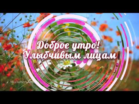 🌸Подними глаза на небо!🌸