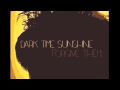 DARK TIME SUNSHINE / FORGIVE THEM 