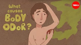 What causes body odor? - Mel Rosenberg