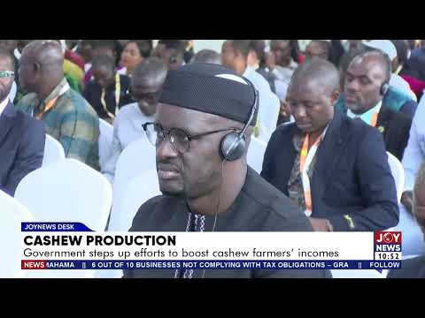 Cashew Production: Government steps up efforts to boost cashew farmers' incomes