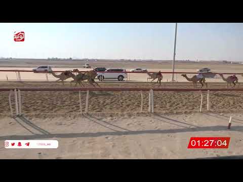  ش 24 (الشاهينيه) لـ فهد البدري حمد 2:16 ، شارة الصندوق 2026/07/25 فطامين الوثبة