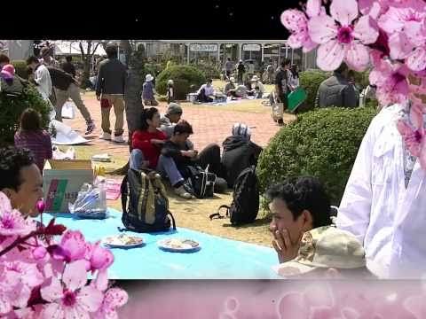 Hanami 2011