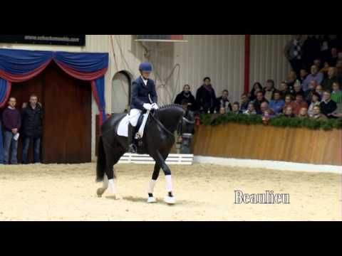 Schockemöhle Hengstkollektion 2013 Beaulieu