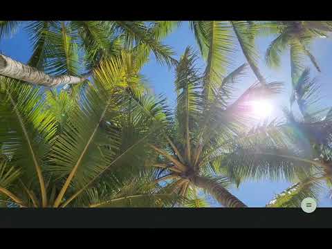 AVSPlayer