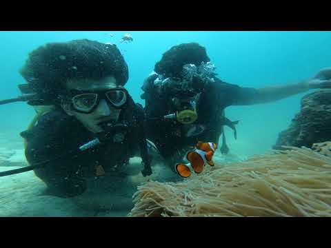 download lagu mp3 mp4 Scuba Diving In Krabi, download lagu Scuba Diving In Krabi gratis, unduh video klip Scuba Diving In Krabi