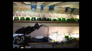 Using science to see what no one has seen before: Sara Volz at TEDxMileHigh