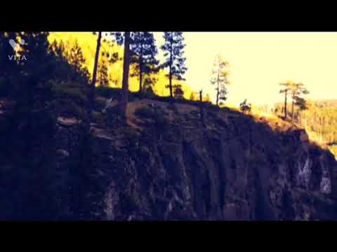 #bestmeditation #meditation #yogamusic #nature #pranayama #