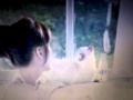Don't go away - By2 (Chinese version) 