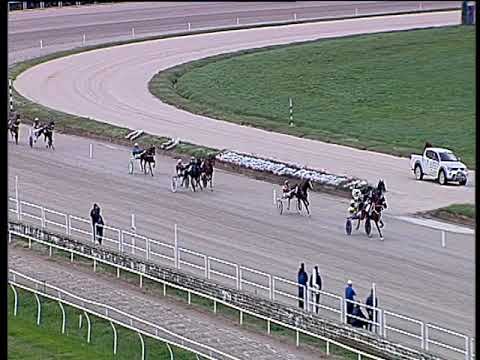 Trotto 12/11/2019 - 3ª corsa