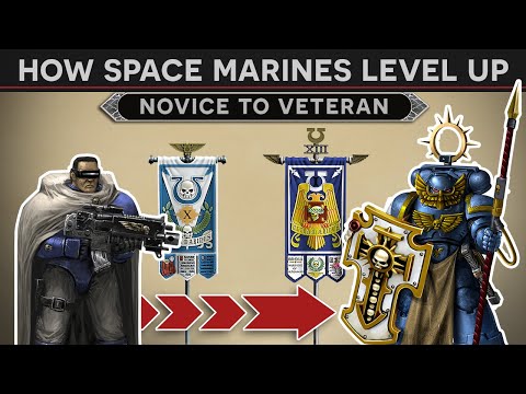 How Space Marines Level Up? - From Novice to Veteran [999.M41] 3D Documentary