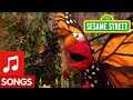 Sesame Street Little Butterfly Friend Song