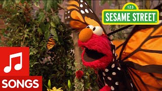 Sesame Street: Little Butterfly Friend Song