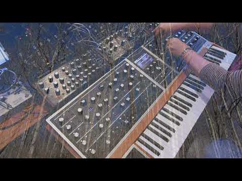 Lisa Bella Donna - Moog One (Instant Composition)