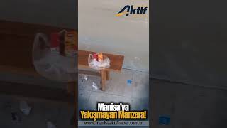 Manisa'ya yakışmayan manzara: Vatandaşlarlar tepkili!