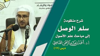 صورة المجالس العلمية | سلم الوصول إلى مباحث علم الأصول | درس 17 / 39 | أ.د. أحمد القاضي