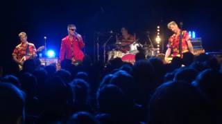 Me First & the Gimme Gimmes "Isn't she lovely" Live