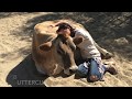 Emma Fuhrmann The Gentle Barn Experience