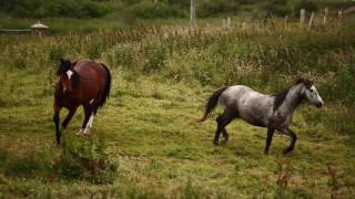 Logan Kamen - Uncles n' locals surfing Ireland