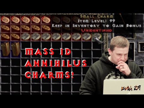 Mass Identification 30 Anni Charms From D-Clone! 20/20/10? - Diablo 2