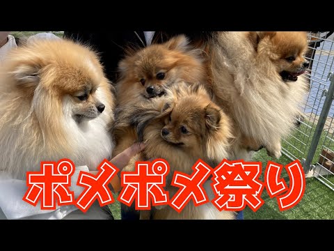 格安対応！テロップ・動画編集承ります イメージ1