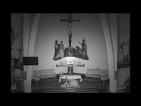 Parafia Krzyża  Świętego w Dębicy- transmisja na żywo