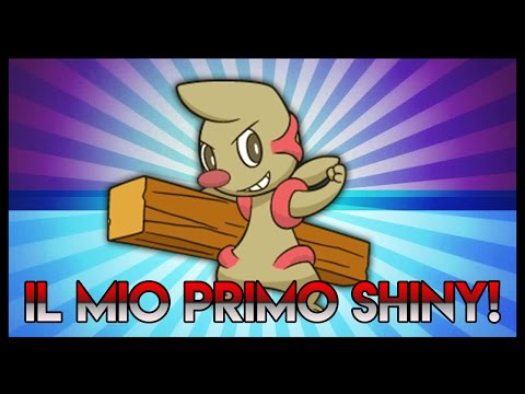 IL MIO PRIMO SHINY  - Dietro le quinte di Pokemon Bianco 2 - #1