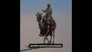 How a Camel Saved Peter O’Toole’s Life During the Filming of Lawrence of Arabia - #shorts #short