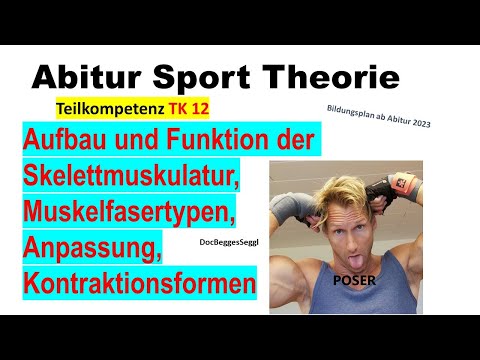 ABITUR 2026 SPORT THEORIE TK 12: KRAFT, Skelettmuskel, FT, ST Fasern, Hypertrophie, Krafttraining