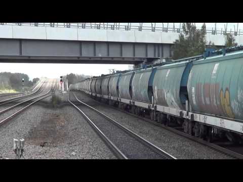 PACIFIC NATIONAL GRAIN