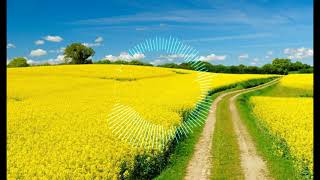 Ted Gärdestad - Himlen är oskyldigt blå (slowed)