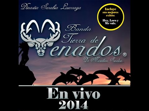 Banda Tierra de Venados - CD En Vivo 2014 completo ✔️