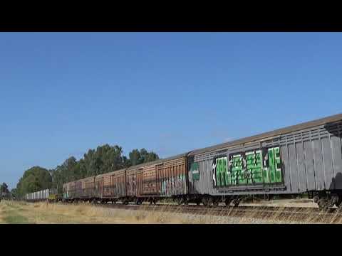 CSR022 and CSR024 on 6PM9 freight Herne Hill