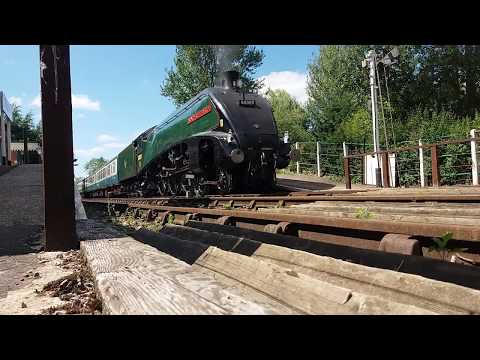 Koślawego oraz co to jest Palucha korekcji valgus x kształcie nogi