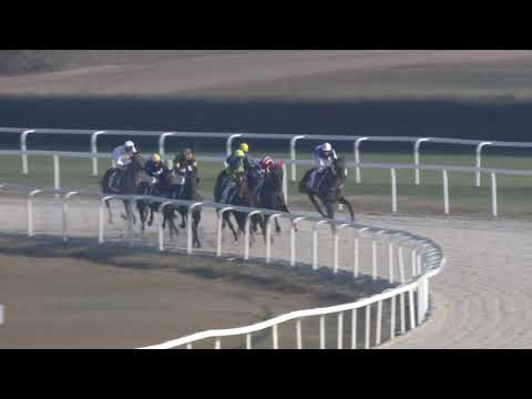 2018.11.11. 05. futam - NOVEMBERI HENDIKEP (II.o.) (szintetikus pálya)