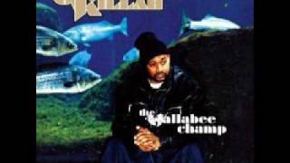 Ghostface Killah - Hidden Darts (remix)