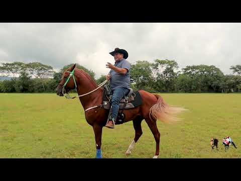 VILLAMIL TORRES - AQUÍ ME TIENEN DE NUEVO