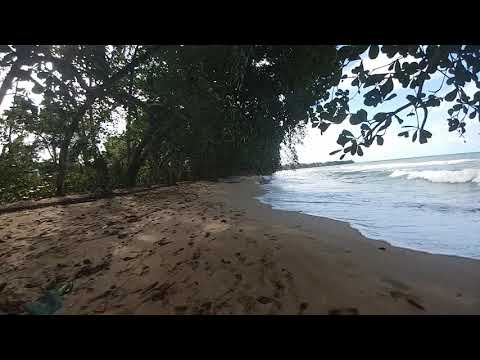 Nice beach....Cahuita Costa Rica!