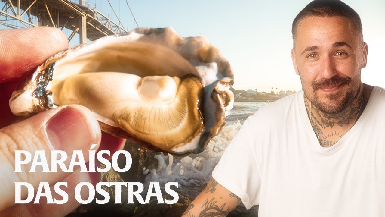 VISITEI O PARAISO DAS OSTRAS EM FLORIANÓPOLIS!