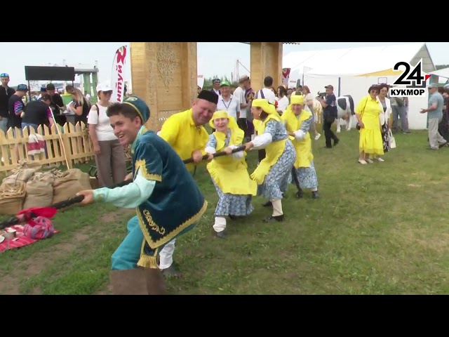 Сабантуй Барда