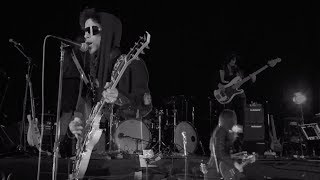 SCREWDRIVER (LIVE) / PRINCE &amp; 3RDEYEGIRL