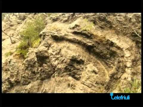 Intervento di Renato Miniutti - SentieriNatura 2013 - 10